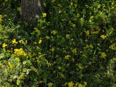 -长春公园(普阳街道)