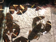 -RED LOBSTER(多伦多DT店)