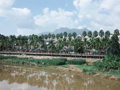 -中国科学院西双版纳热带植物园