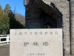 -上海佘山国家森林公园天马山园