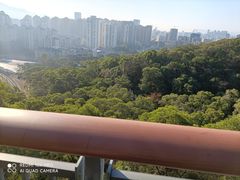-金鸡山公园