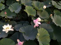 -南京信息职业技术学院