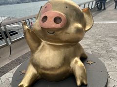 -星光大道