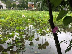 -贵阳市花溪国家城市湿地公园