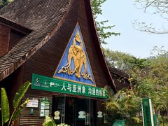 -野象谷景区