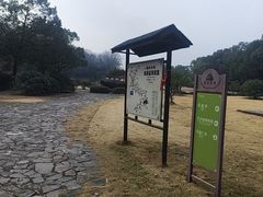 -陶祖圣境风景区