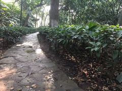 -首义公园-武昌蛇山烈士祠