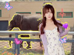 -无锡动物园·太湖欢乐园