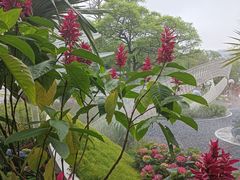 -桃花涧