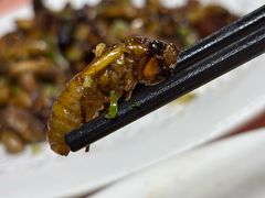 -天强农家菜馆