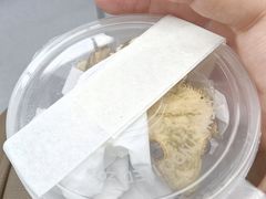 -酷以爬仙阁实体爬宠店·守宫·蜥蜴·专业繁育