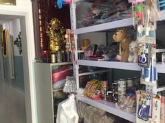 -中农大我爱我爱24h动物医院·中医针灸·猫专科·骨科医疗中心(双井店)
