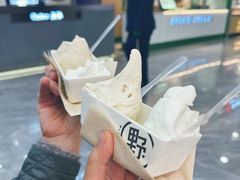 -野人先生现做冰淇淋(西安赛格店)