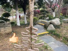 -武汉紫薇都市田园