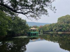 -紫金山山顶公园