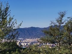 -北京西山国家森林公园