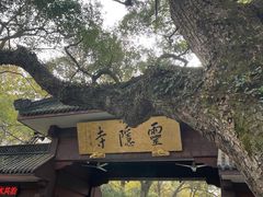 -灵隐飞来峰景区