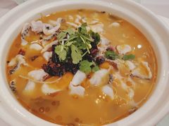 -蜀腾川·火锅鱼.烤鱼(新世界城店)