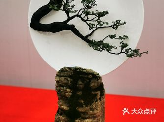 精彩氛呈，助力菊花展。这是重庆第十三届盆景艺术展场中