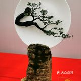 盆景艺术，匠心独具