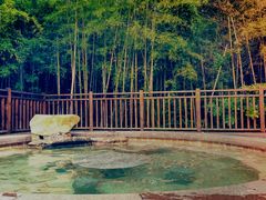 -天目湖涵田半山温泉水乐园