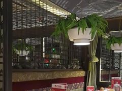 -天山醉美辣子鸡(文艺路店)