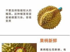 -麦德龙(湖里店)