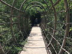 -欢乐松鼠谷