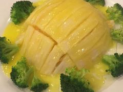 -丁老爷子苏香圆