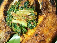 -傣家苑傣味餐厅