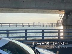 -海堤纪念公园