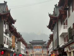 -庐山风景名胜区-东林大佛