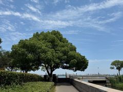 -金鸡湖景区