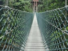 -乌鲁淡布隆国家公园