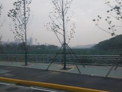 -月湖风景区