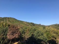 -天目湖御水温泉·度假酒店