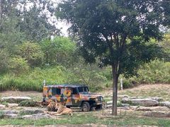 -北京野生动物园