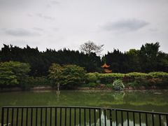 -嘉定紫藤园