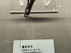 -仪征博物馆