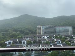 -舟山朱家尖绿城威斯汀度假酒店