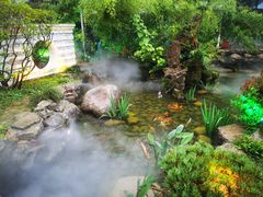 -绿色菜园·农家土菜(贤山店)