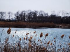 -永定河休闲森林公园