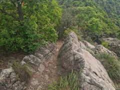 -午潮山国家森林公园