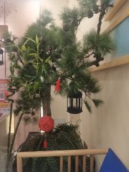 -芳朵美容养生SPA