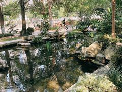 -成都市活水公园