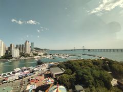 -大连圣亚海洋世界