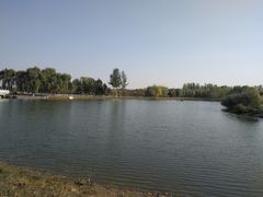 -大兴滨河森林公园