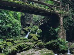 -青城山