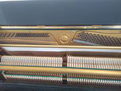 -聚龙楼农家大院-停车场