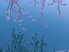 -颐和园